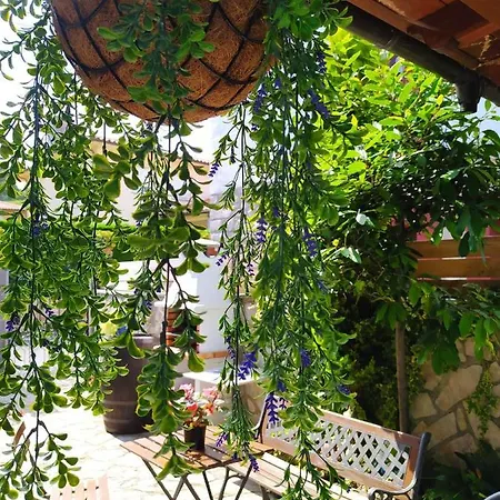 La Granda De La Concha