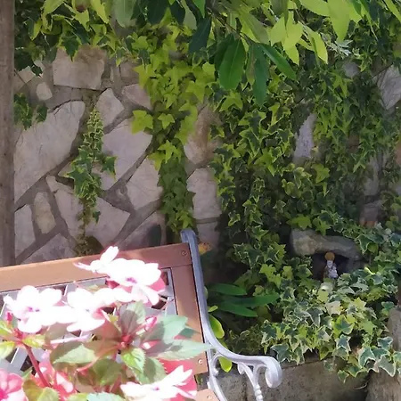 La Granda De La Concha Nyaraló