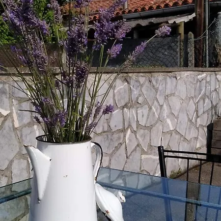 La Granda De La Concha