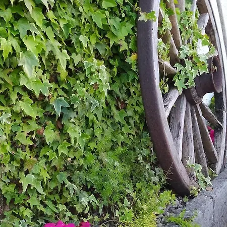 بيت للعطل La Granda De La Concha نويفا دي يانس